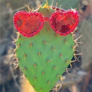 Red Heart Shaped Glasses